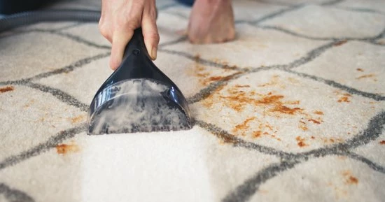 BISSELL 1558N SpotClean Pro - Vlekkenreiniger 12 BISSELL 1558N SpotClean Pro - Vlekkenreiniger - Afbeelding 12