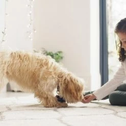 BISSELL SpotClean Proheat Vlekkenreiniger 25 BISSELL SpotClean Proheat Vlekkenreiniger -SolisVac Plus Shop 550x289 7