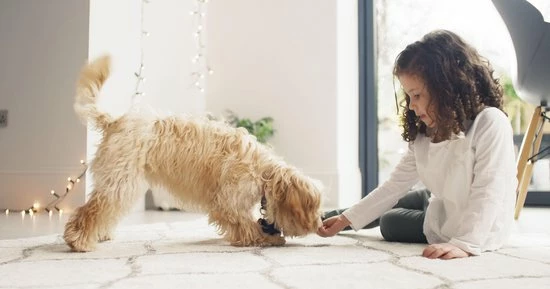 BISSELL SpotClean Proheat Vlekkenreiniger 10 BISSELL SpotClean Proheat Vlekkenreiniger - Afbeelding 10