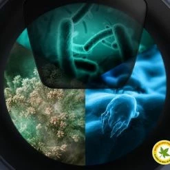 Samsung WW90T656AHE - AddWash - 6000 Serie - Wasmachine 33 Samsung WW90T656AHE - AddWash - 6000 Serie - Wasmachine -SolisVac Plus Shop 550x309 166