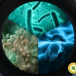 Samsung WW90TA049TH - EcoBubble - 5000 Serie - Wasmachine 37 Samsung WW90TA049TH - EcoBubble - 5000 Serie - Wasmachine -SolisVac Plus Shop 550x309 24