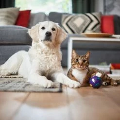 Philips 9000 Series XB9154/09 - Stofzuiger Zonder Zak -SolisVac Plus Shop 550x366 128