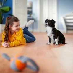 Philips Performer Silent FC8780/09 - Stofzuiger Met Zak 40 Philips Performer Silent FC8780/09 - Stofzuiger Met Zak -SolisVac Plus Shop 550x366 8