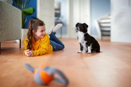 Philips Performer Silent FC8780/09 - Stofzuiger Met Zak 13 Philips Performer Silent FC8780/09 - Stofzuiger Met Zak - Afbeelding 13