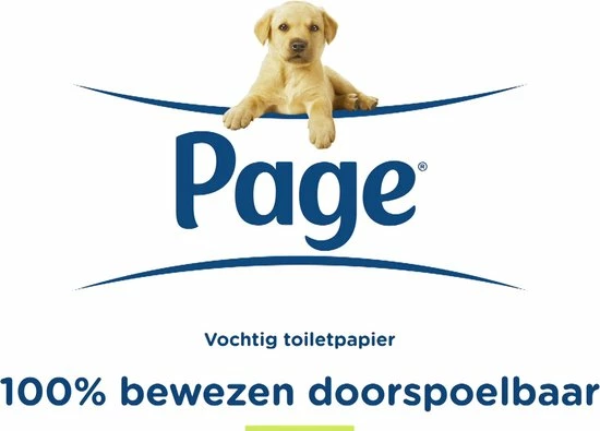 Page Vochtig Toiletpapier - 12 X 38 Stuks - Compleet Schoon Vochtig Wc Papier - Voordeelverpakking 2 Page Vochtig Toiletpapier - 12 X 38 Stuks - Compleet Schoon Vochtig Wc Papier - Voordeelverpakking - Afbeelding 2