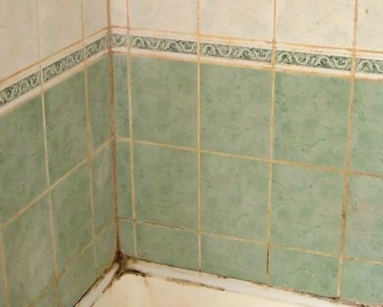 HG Schimmelreiniger - 500ml - De NR 1 Schimmelverwijderaar - Vernietigt De Hardnekkigste Schimmel - Geschikt Voor De Badkamer, Tegel-, Siliconenvoegen, Stucwerk 2 HG Schimmelreiniger - 500ml - De NR 1 Schimmelverwijderaar - Vernietigt De Hardnekkigste Schimmel - Geschikt Voor De Badkamer, Tegel-, Siliconenvoegen, Stucwerk - Afbeelding 2