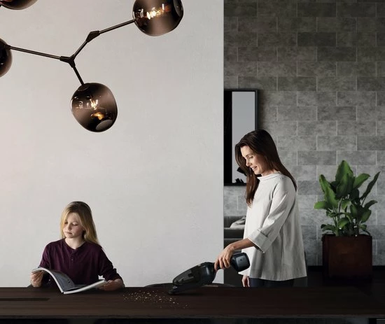 AEG QX9-1-40GG - Steelstofzuiger - Stofzuigers - Stofzuigen - Grijs 8 AEG QX9-1-40GG - Steelstofzuiger - Stofzuigers - Stofzuigen - Grijs - Afbeelding 8