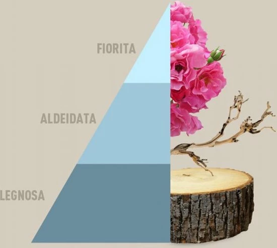 Horomia Wasparfum Fresh Cotton - 250ml 3 Horomia Wasparfum Fresh Cotton - 250ml - Afbeelding 3