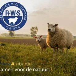 PrimeAmbition XL Drogerballen – 6 Stuks – Wasbollen – Wasballen – Wasdroger Ballen – Droogballen – Wol 8 PrimeAmbition XL Drogerballen – 6 Stuks – Wasbollen – Wasballen – Wasdroger Ballen – Droogballen – Wol -SolisVac Plus Shop 550x495 5