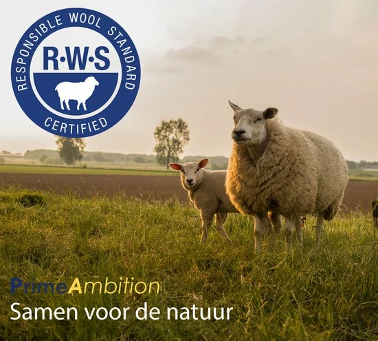 PrimeAmbition XL Drogerballen – 6 Stuks – Wasbollen – Wasballen – Wasdroger Ballen – Droogballen – Wol 4 PrimeAmbition XL Drogerballen – 6 Stuks – Wasbollen – Wasballen – Wasdroger Ballen – Droogballen – Wol - Afbeelding 4