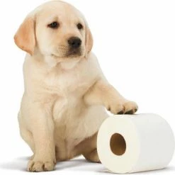 Page Toiletpapier - 32 Rollen - Compleet Schoon Wc Papier - Voordeelverpakking 10 Page Toiletpapier - 32 Rollen - Compleet Schoon Wc Papier - Voordeelverpakking -SolisVac Plus Shop 550x514