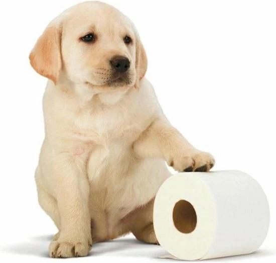 Scottex Toiletpapier - Kussenzacht Design Wc Papier - 84 Rollen 6 Scottex Toiletpapier - Kussenzacht Design Wc Papier - 84 Rollen - Afbeelding 6