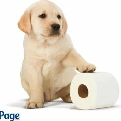 Page Toiletpapier - 96 Rollen - Compleet Schoon Wc Papier - Voordeelverpakking 11 Page Toiletpapier - 96 Rollen - Compleet Schoon Wc Papier - Voordeelverpakking -SolisVac Plus Shop 550x544 1