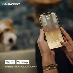 Blaupunkt Bluebot XVAC BPK-VCBB1XVB – Robotstofzuiger Met Optie Tot Dweilfunctie – Slimme Gyro Navigatie 23 Blaupunkt Bluebot XVAC BPK-VCBB1XVB – Robotstofzuiger Met Optie Tot Dweilfunctie – Slimme Gyro Navigatie -SolisVac Plus Shop 550x550 1511