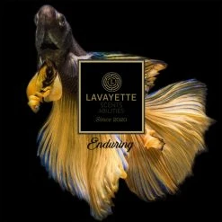 Lavayette Premium Wasparfum / Proefpakket 9x25ml / Geurbooster -SolisVac Plus Shop 550x550 395