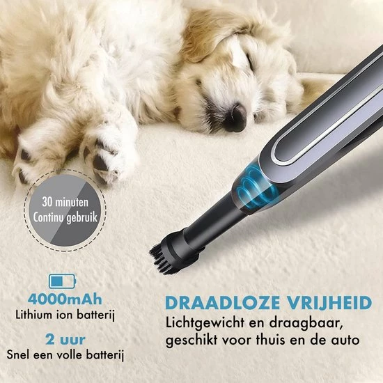 DynaBright Kruimeldief - Nat En Droog - Stofzuiger Zonder Zak - 6000PA - Vacuum Cleaner - USB Oplaadbaar - Kruimeldief Snoerloos - Stofzuiger - Met Stofzuigermond - Draadloos 3 DynaBright Kruimeldief - Nat En Droog - Stofzuiger Zonder Zak - 6000PA - Vacuum Cleaner - USB Oplaadbaar - Kruimeldief Snoerloos - Stofzuiger - Met Stofzuigermond - Draadloos - Afbeelding 3