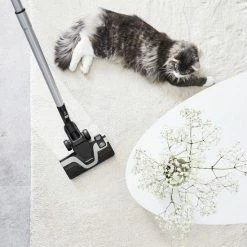 Rowenta Silence Force Allergy+ RO7740 - Stofzuiger Met Zak -SolisVac Plus Shop 550x578