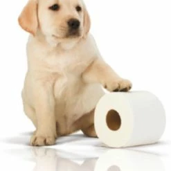 Page Toiletpapier - 32 Rollen - Kussenzacht Wc Papier (3-laags) - Voordeelverpakking -SolisVac Plus Shop 550x659